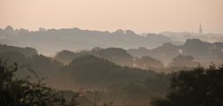 Dawn view from verandah